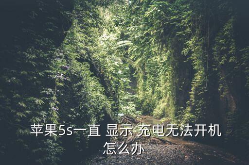  蘋(píng)果5s一直 顯示 充電無(wú)法開(kāi)機(jī)怎么辦
