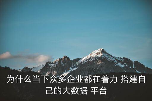 搭建大數(shù)據(jù)分析平臺(tái),如何搭建數(shù)據(jù)分析模型