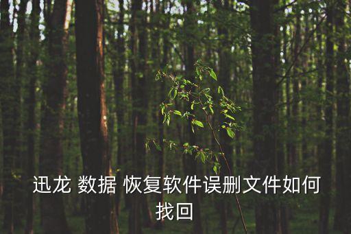  迅龍 數(shù)據(jù) 恢復(fù)軟件誤刪文件如何找回