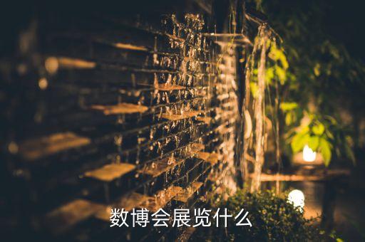 數(shù)博會展覽什么