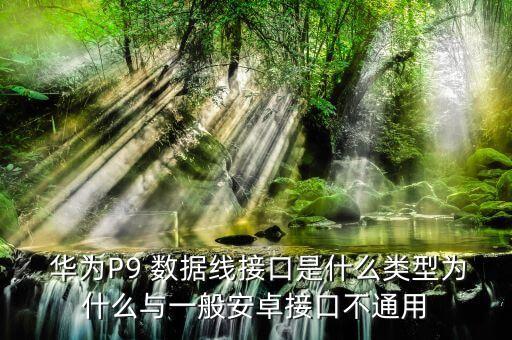  華為P9 數(shù)據(jù)線接口是什么類型為什么與一般安卓接口不通用