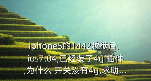iphone5的1442越獄后, ios7.04,已經(jīng)裝了4g 插件,為什么 開關(guān)沒有4g,求助...