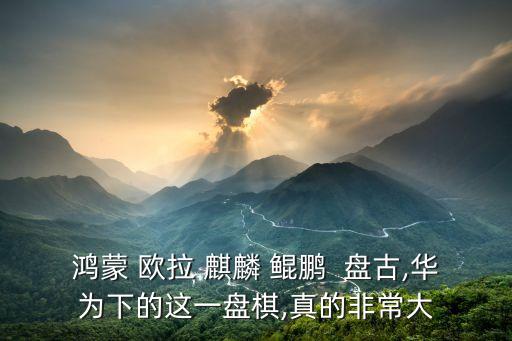 盤(pán)古數(shù)據(jù)雅力數(shù)據(jù),三河雅力 盤(pán)古數(shù)據(jù)