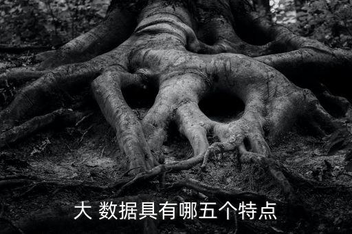 大數(shù)據(jù)具備的基本特征,地理空間數(shù)據(jù)的基本特征包括
