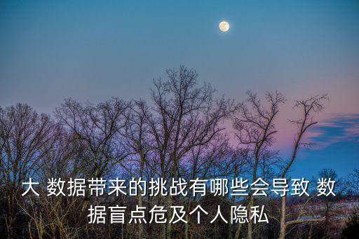 大 數(shù)據(jù)帶來的挑戰(zhàn)有哪些會導(dǎo)致 數(shù)據(jù)盲點危及個人隱私