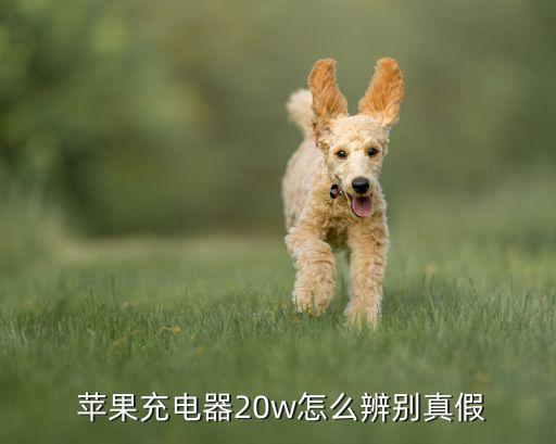  蘋果充電器20w怎么辨別真假