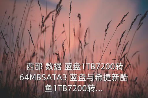 西部數(shù)據(jù)1tb藍盤