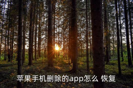 蘋果手機(jī)刪除的app怎么 恢復(fù)