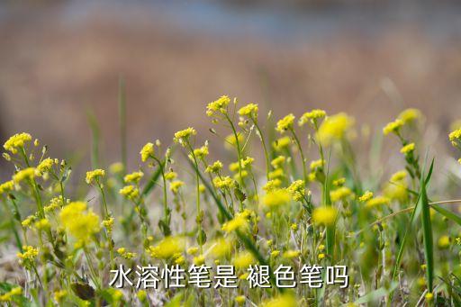 自動(dòng)褪色筆不出水了,武漢這些廢物怎么辦?