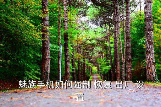  魅族手機(jī)如何強(qiáng)制 恢復(fù) 出廠 設(shè)置