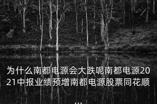 為什么南都電源會大跌呢南都電源2021中報(bào)業(yè)績預(yù)增南都電源股票同花順...