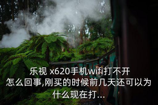  樂視 x620手機wifi打不開怎么回事,剛買的時候前幾天還可以為什么現(xiàn)在打...