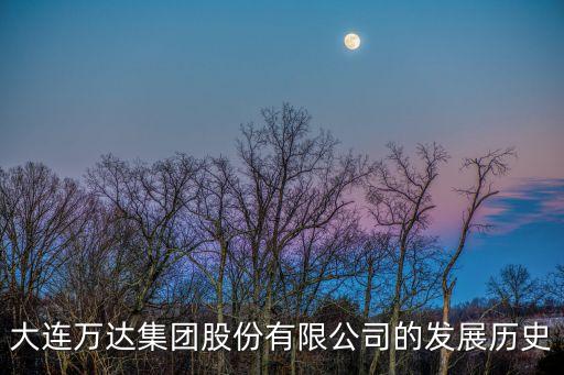 大連萬達(dá)集團(tuán)股份有限公司的發(fā)展歷史