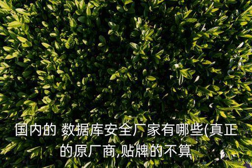 國內(nèi)的 數(shù)據(jù)庫安全廠家有哪些(真正的原廠商,貼牌的不算