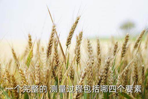 一個(gè)完整的 測(cè)量過(guò)程包括哪四個(gè)要素