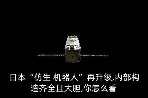 日本“仿生 機(jī)器人”再升級(jí),內(nèi)部構(gòu)造齊全且大膽,你怎么看