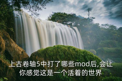 上古卷軸5中打了哪些mod后,會(huì)讓你感覺這是一個(gè)活著的世界