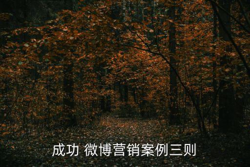 成功 微博營銷案例三則