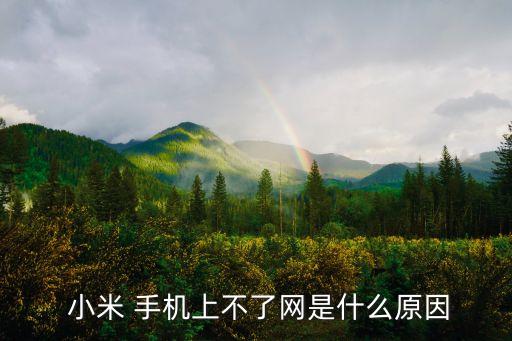  小米 手機(jī)上不了網(wǎng)是什么原因