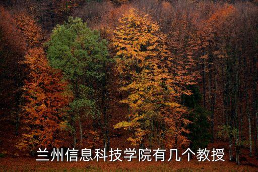  蘭州信息科技學(xué)院有幾個(gè)教授