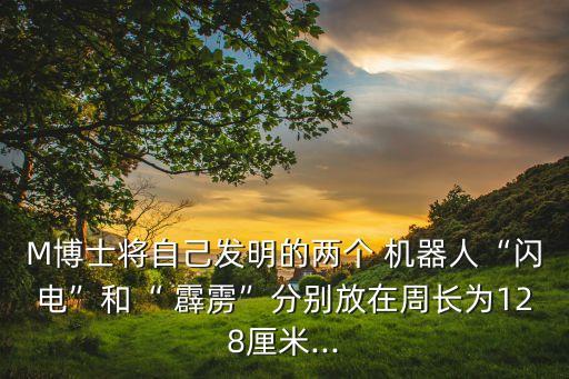 沈陽霹靂機(jī)器人,遼寧沈陽機(jī)器人最大的公司
