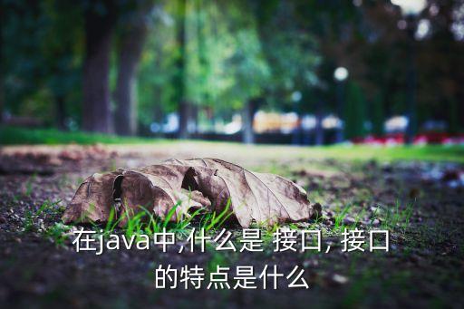 在java中,什么是 接口, 接口的特點是什么