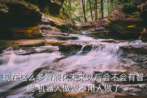 現(xiàn)在這么多智能化未來以后會不會有智能 機器人做飯不用人做了