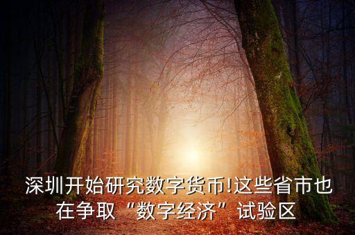  深圳開始研究數(shù)字貨幣!這些省市也在爭取“數(shù)字經(jīng)濟”試驗區(qū)