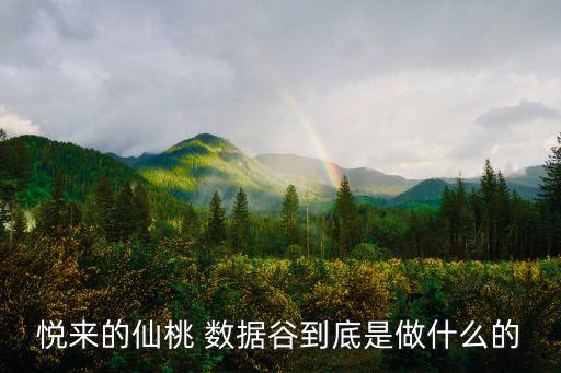 悅來的仙桃 數(shù)據(jù)谷到底是做什么的