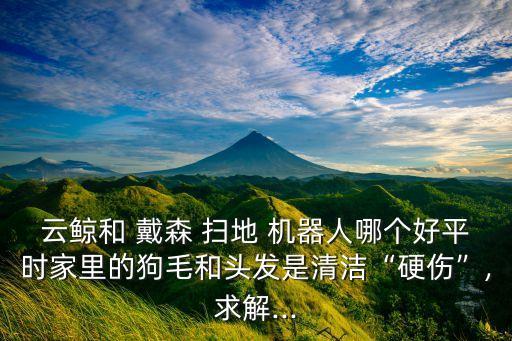 云鯨和 戴森 掃地 機(jī)器人哪個好平時家里的狗毛和頭發(fā)是清潔“硬傷”,求解...