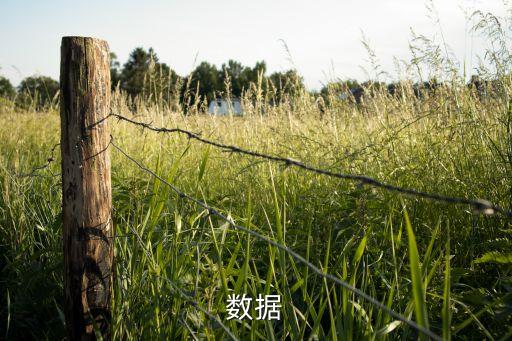 數(shù)據(jù)