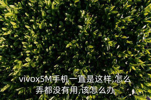 vivox5M手機(jī)一直是這樣,怎么弄都沒(méi)有用,該怎么辦