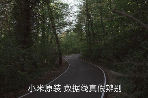 小米數(shù)據(jù)線logo