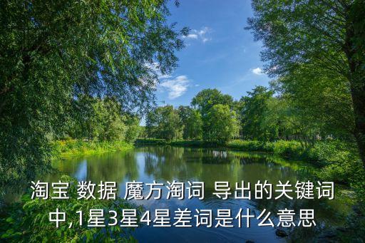 淘寶 數(shù)據(jù) 魔方淘詞 導出的關(guān)鍵詞中,1星3星4星差詞是什么意思