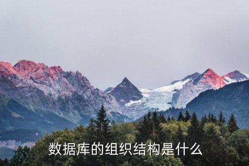  數(shù)據(jù)庫(kù)的組織結(jié)構(gòu)是什么