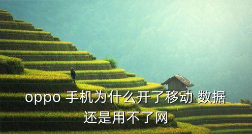 手機(jī)開通數(shù)據(jù)連不上網(wǎng)嗎,手機(jī)連不上數(shù)據(jù)網(wǎng)絡(luò)是怎么回事