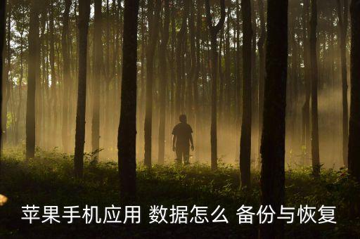iphone備份app內(nèi)數(shù)據(jù),備份APP數(shù)據(jù)