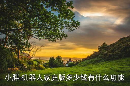 小胖 機(jī)器人家庭版多少錢有什么功能