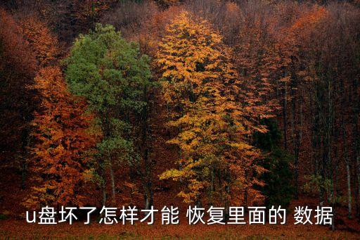 u盤壞了怎樣才能 恢復(fù)里面的 數(shù)據(jù)