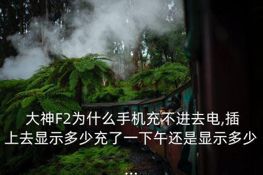  大神F2為什么手機充不進去電,插上去顯示多少充了一下午還是顯示多少...