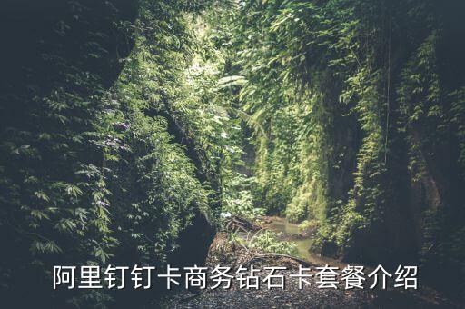 阿里大數(shù)據(jù)收費(fèi),阿里拍賣流程及收費(fèi)