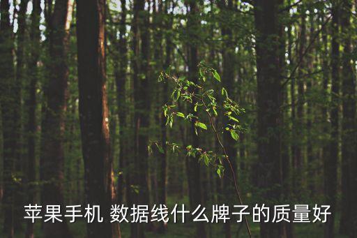 蘋果手機 數(shù)據(jù)線什么牌子的質量好
