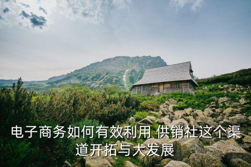 電子商務(wù)如何有效利用 供銷社這個(gè)渠道開(kāi)拓與大發(fā)展