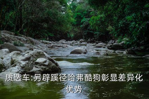 質(zhì)選車:另辟蹊徑哈弗酷狗彰顯差異化優(yōu)勢(shì)