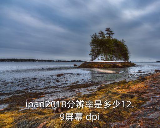 ipad2018分辨率是多少12.9屏幕 dpi