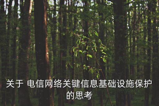 關(guān)于 電信網(wǎng)絡關(guān)鍵信息基礎(chǔ)設(shè)施保護的思考
