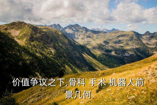 價值爭議之下,骨科 手術(shù) 機(jī)器人前景幾何