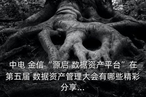 中電 金信“源啟 數(shù)據(jù)資產(chǎn)平臺(tái)”在第五屆 數(shù)據(jù)資產(chǎn)管理大會(huì)有哪些精彩分享...