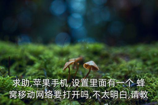求助,蘋果手機,設(shè)置里面有一個 蜂窩移動網(wǎng)絡(luò)要打開嗎,不太明白,請教