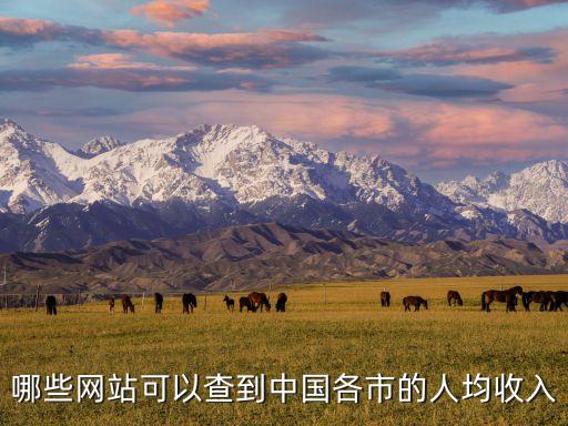 哪些網(wǎng)站可以查到中國各市的人均收入